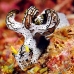nudibranch_triune_db_v_0705_png2197.jpg